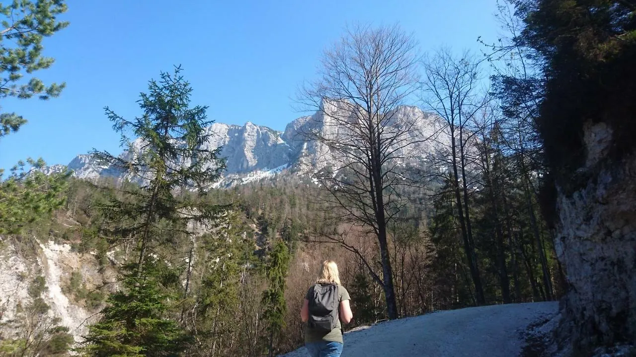Fewo Sonntagshorn Рупольдинг 0*,  Германия